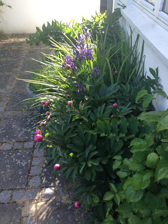הרנינג Helts B&B - Helts Guesthouse מראה חיצוני תמונה